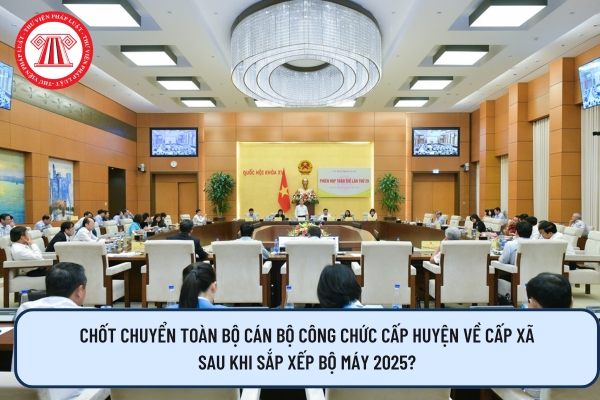 Pháp luật