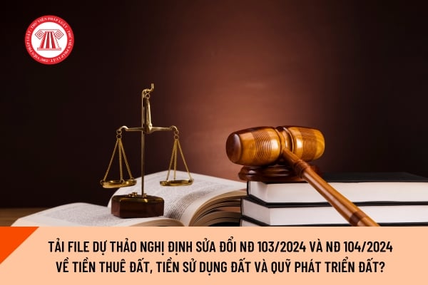 Pháp luật