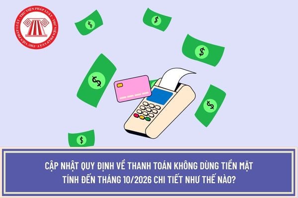 Pháp luật