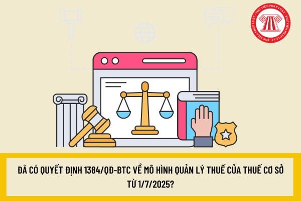 Pháp luật