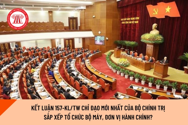 Pháp luật