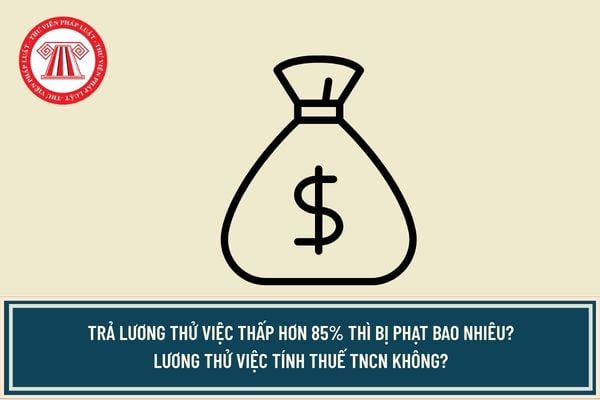 Pháp luật