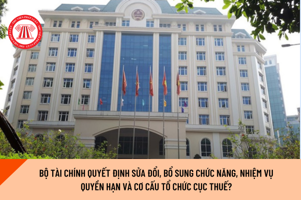 Pháp luật
