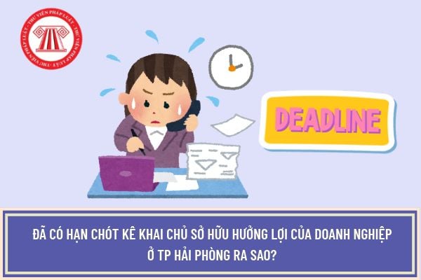 Pháp luật