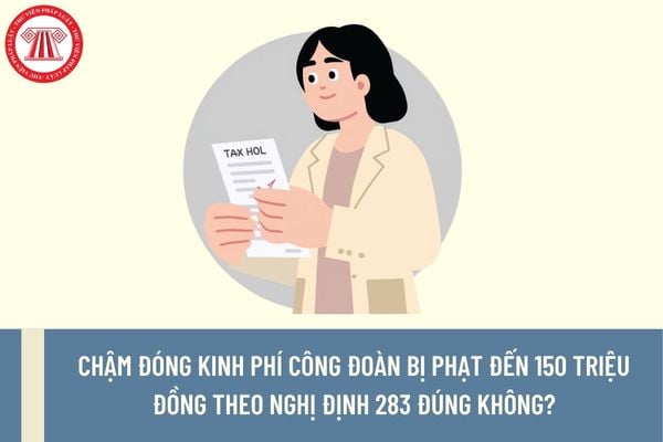 Pháp luật