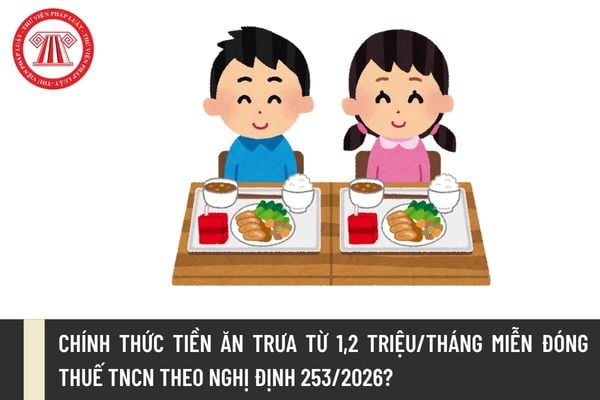 Pháp luật