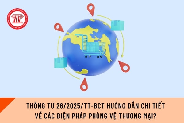 Pháp luật