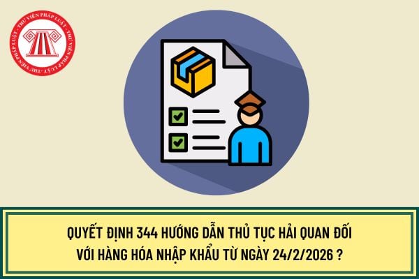 Quyết định 344 hướng dẫn thủ tục hải quan đối với hàng hóa nhập khẩu từ ngày 24/2/2026 ?