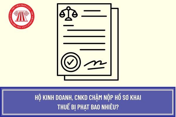 Pháp luật