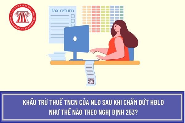 Pháp luật