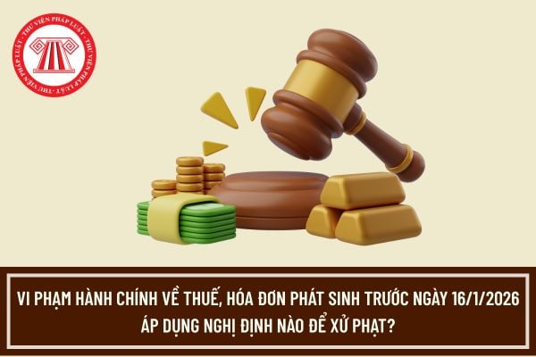 Pháp luật