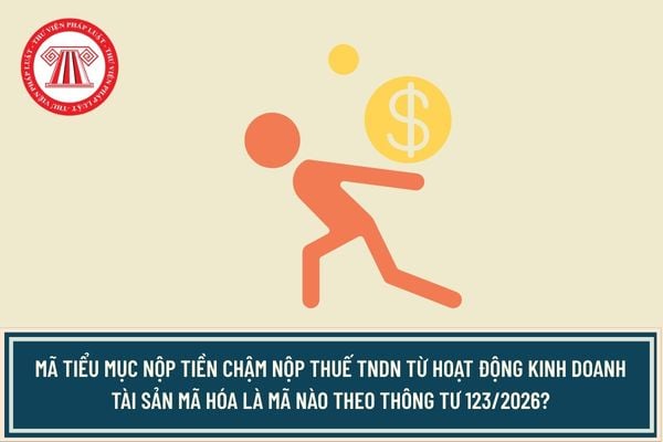 Pháp luật