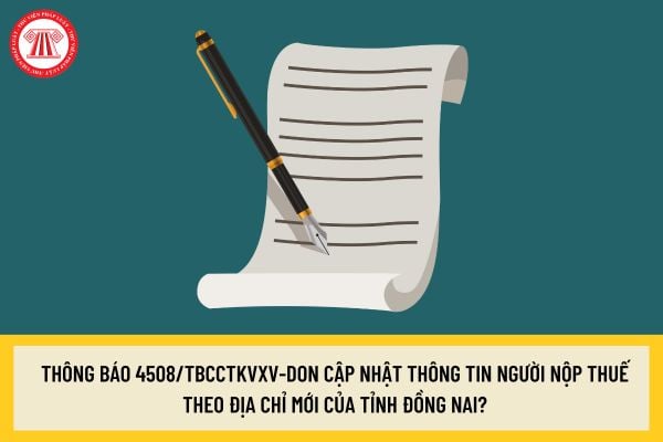 Pháp luật