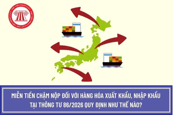 Pháp luật
