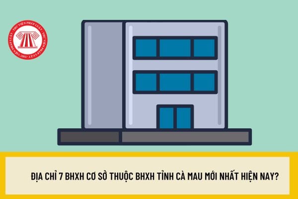 Địa chỉ 7 BHXH cơ sở thuộc BHXH tỉnh Cà Mau mới nhất hiện nay?