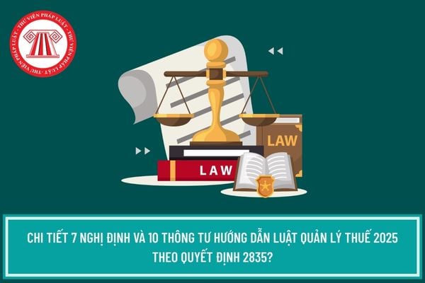 Pháp luật