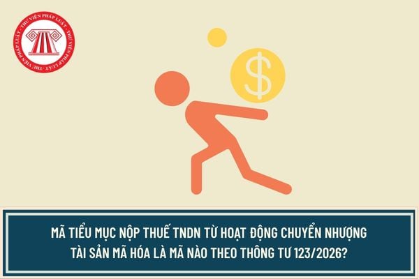 Pháp luật