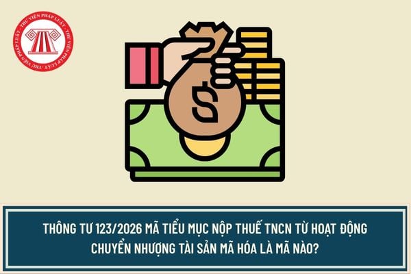 Pháp luật