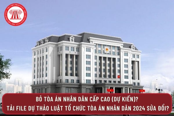 Pháp luật
