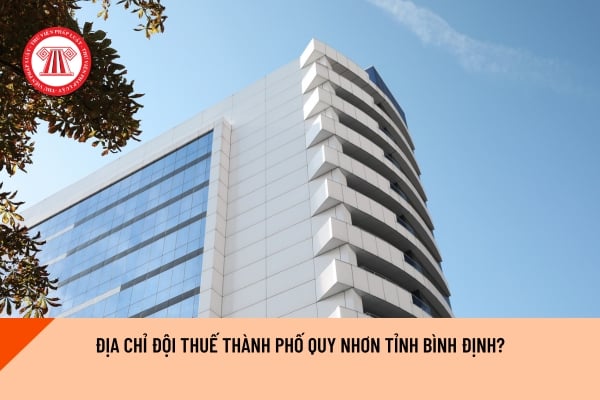 Pháp luật