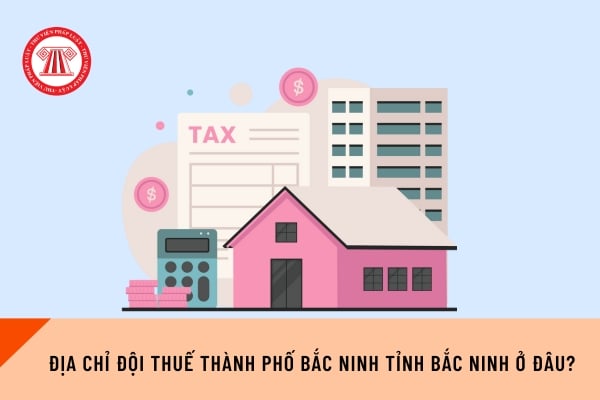 Pháp luật