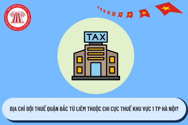 Pháp luật