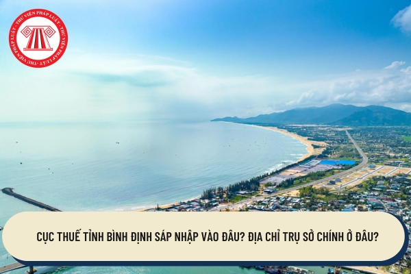 Pháp luật