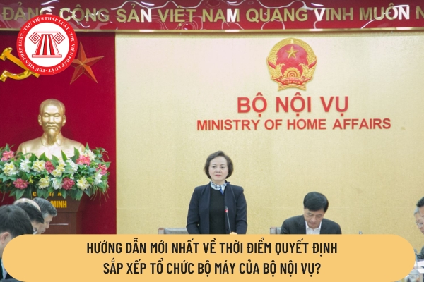 Pháp luật