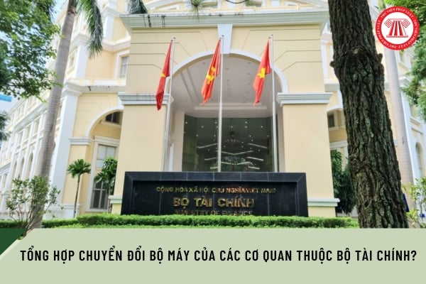 Pháp luật