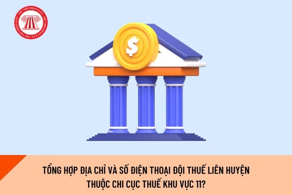Pháp luật