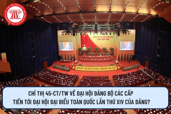 Pháp luật