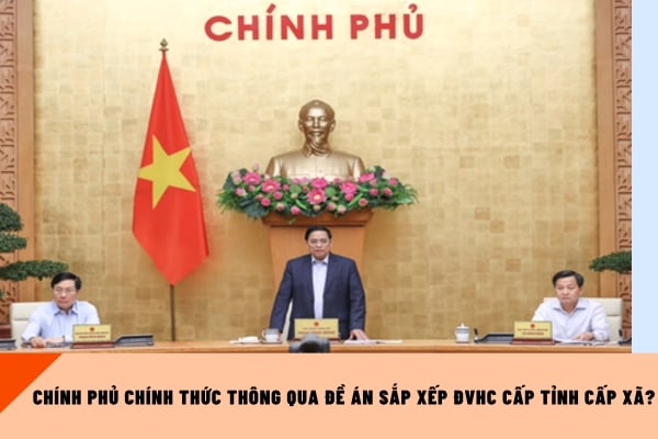 Pháp luật