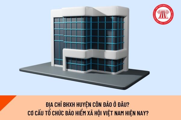 Pháp luật