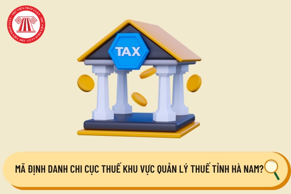 Pháp luật