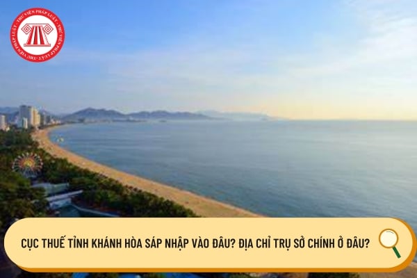 Pháp luật