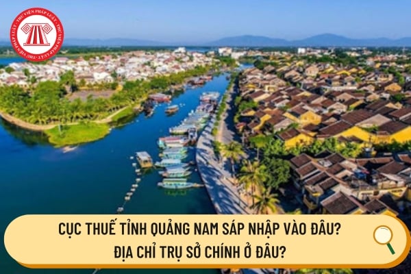 Pháp luật