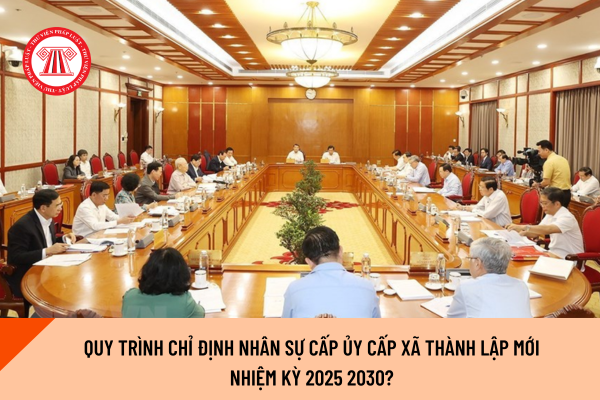 Pháp luật