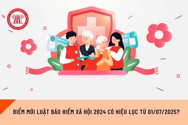 Pháp luật