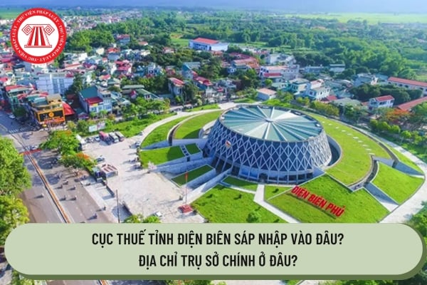 Pháp luật