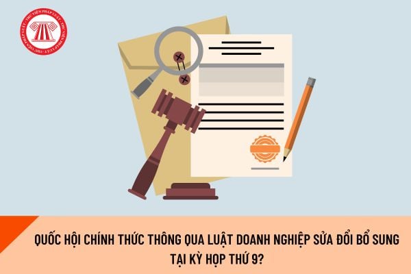 Pháp luật