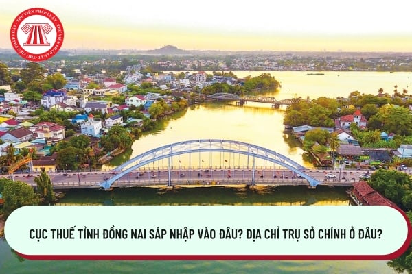 Pháp luật