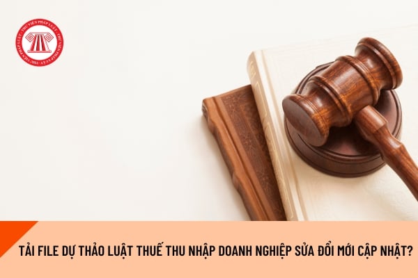 Pháp luật