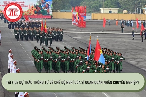 Pháp luật