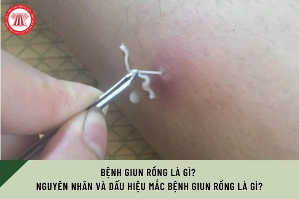 Pháp luật