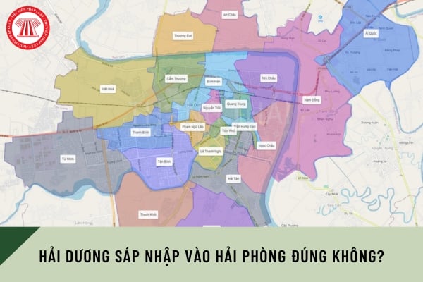 Pháp luật