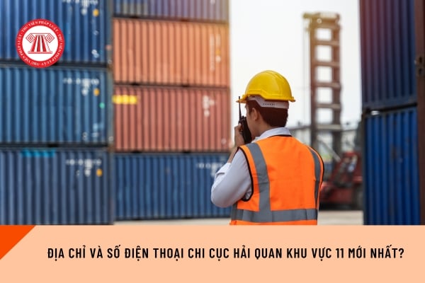 Pháp luật