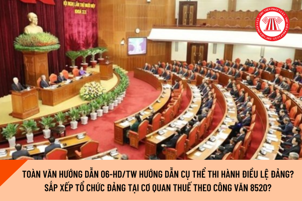Pháp luật