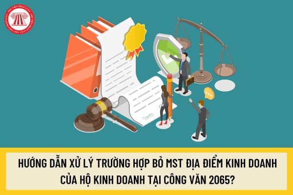 Pháp luật