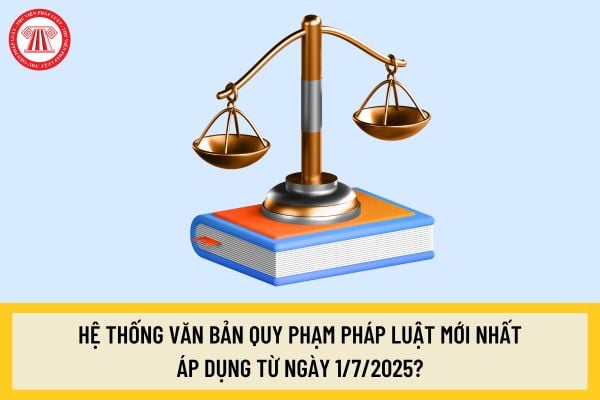 Pháp luật
