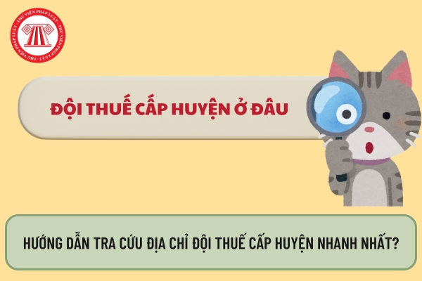 Hướng dẫn tra cứu địa chỉ đội thuế cấp huyện nhanh nhất?